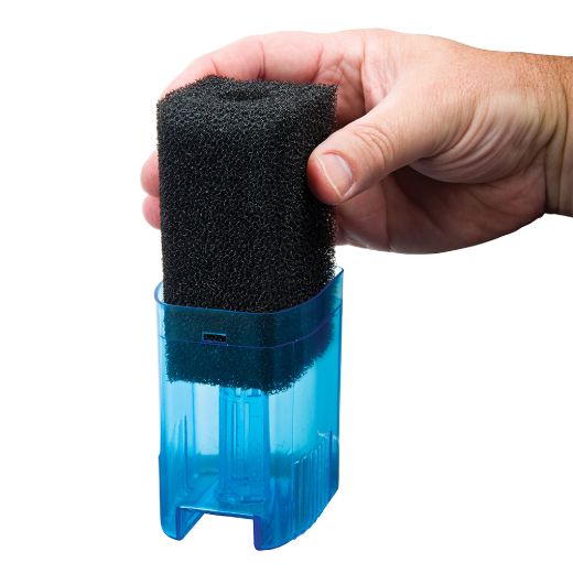 CIF1FI-Sponge_Glam-02.jpg