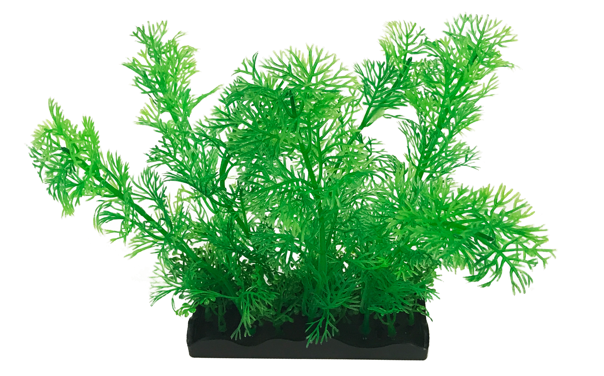 Penn-Plax eOrder | Tide & Treasure™ Aquascaping Plants - 5-Piece PDQ ...