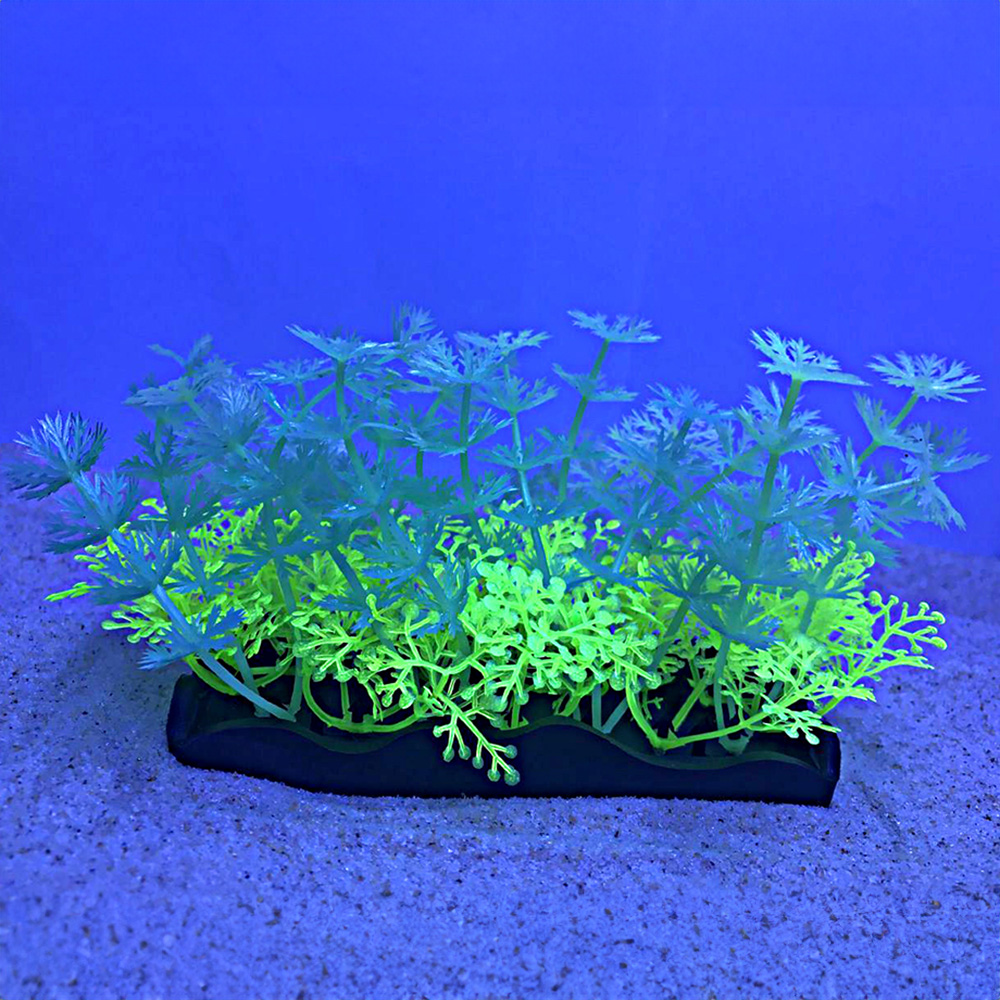 Penn-Plax eOrder | Tide & Treasure™ Glow Plants - 5-Piece PDQ - Green ...