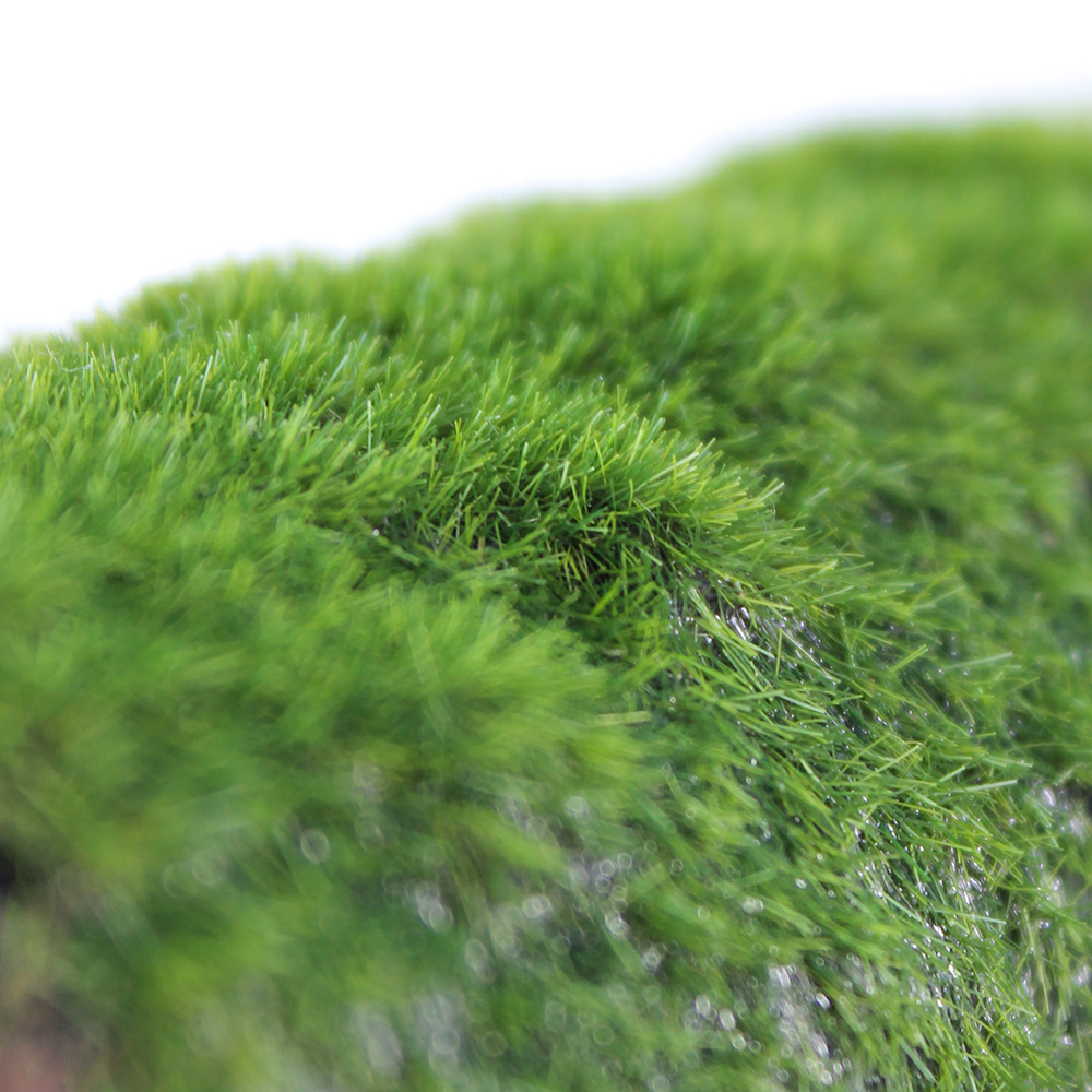 Penn-Plax eOrder | Tide & Treasure™ Hideaway Pipes with Club Moss - Large