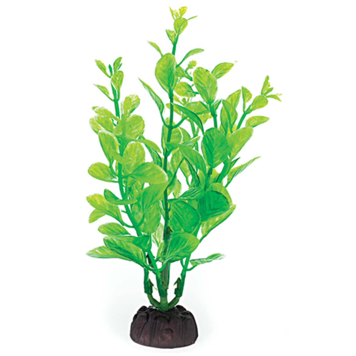 PBP1S - COMPONENT 1.png