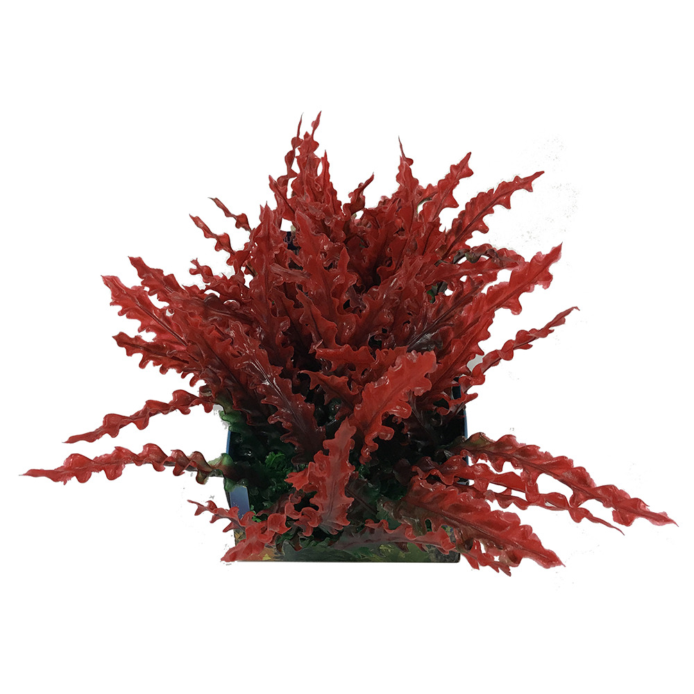 Penn-Plax eOrder | Tide & Treasure™ Aquascaping Plants - 5-Piece PDQ ...