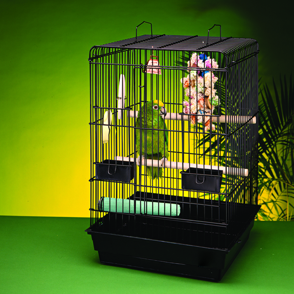 View of Penn-Plax eOrder | Bird Life™ Bird Kit - Parrots & Conures - Black ...