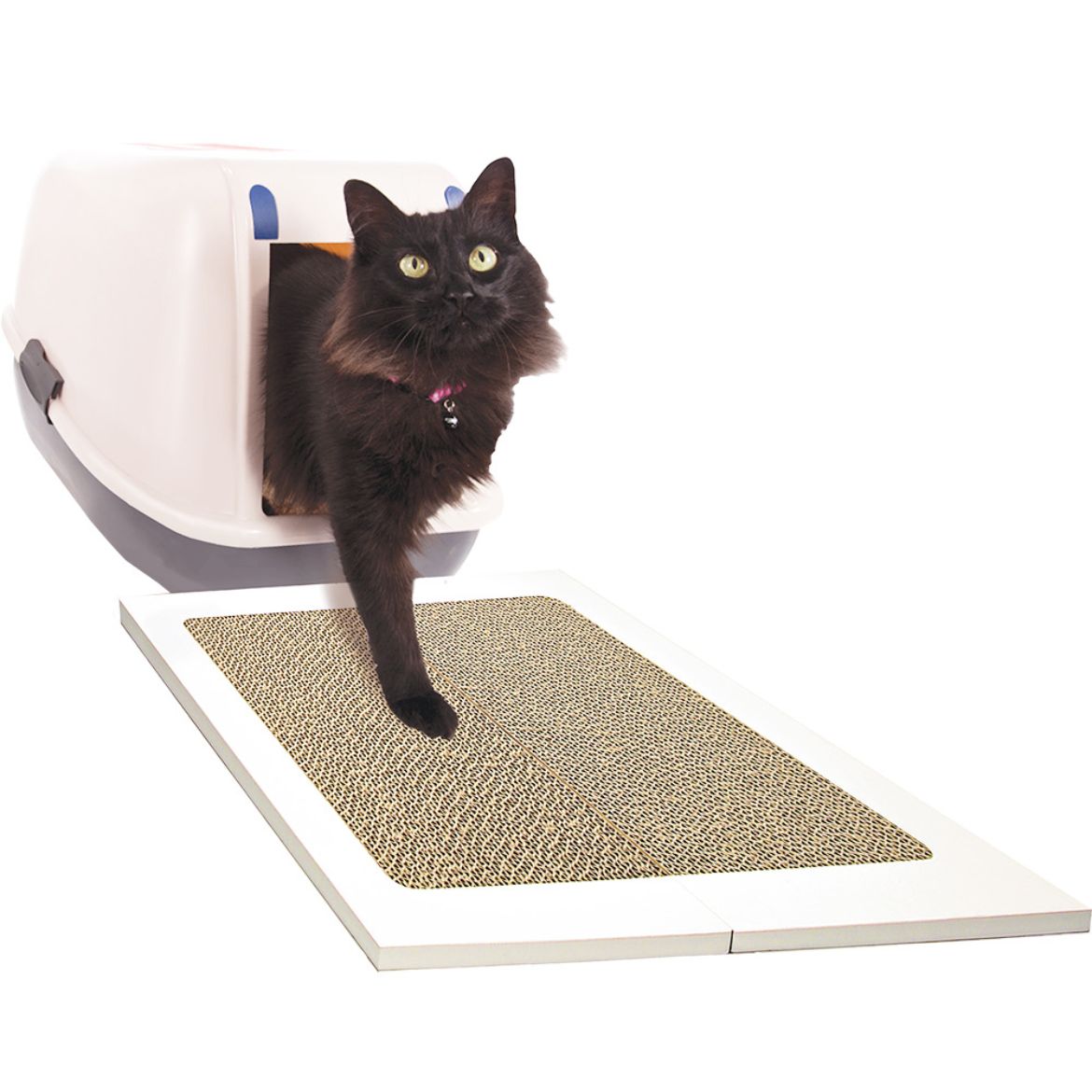 Penn-Plax eOrder | Cat Life™ Catch & Scratch Catching Mat and ...