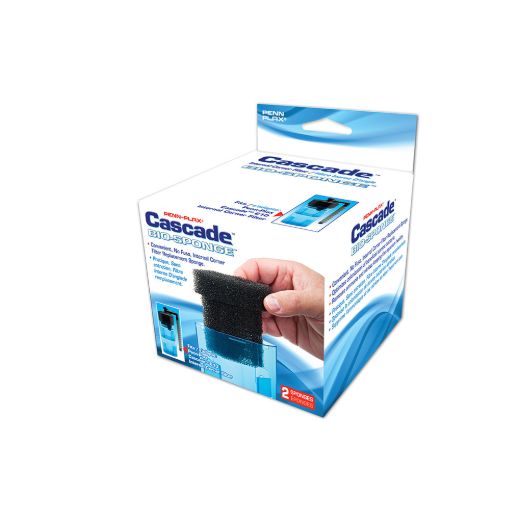 CIF22FI-PKG.jpg