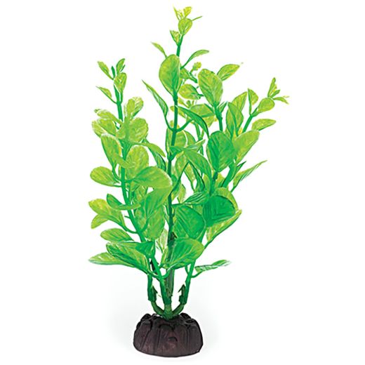 PBP1S - COMPONENT 1.jpg