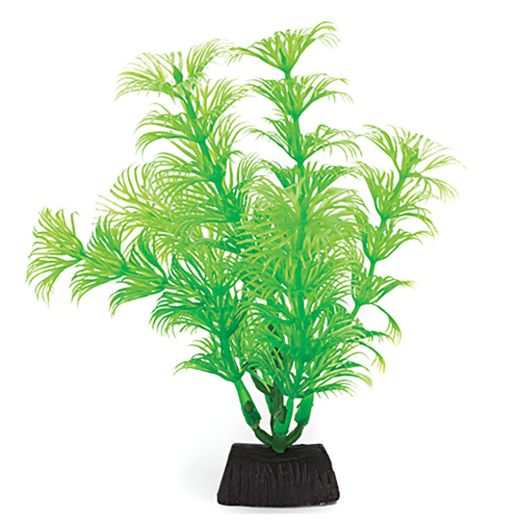 PBP1S - COMPONENT 2.jpg