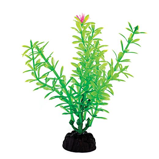 PBP1S - COMPONENT 3.jpg