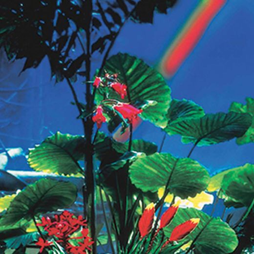 Picture of Tide & Treasure™ Double-Back™ Bulk Roll - Cactus Garden/Rainforest - 22.25" x 50'