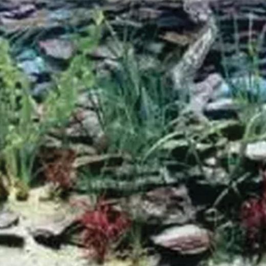 Picture of Tide & Treasure™ Double-Back™ Bulk Roll - Aquarama/Shalescape - 12" x 50'