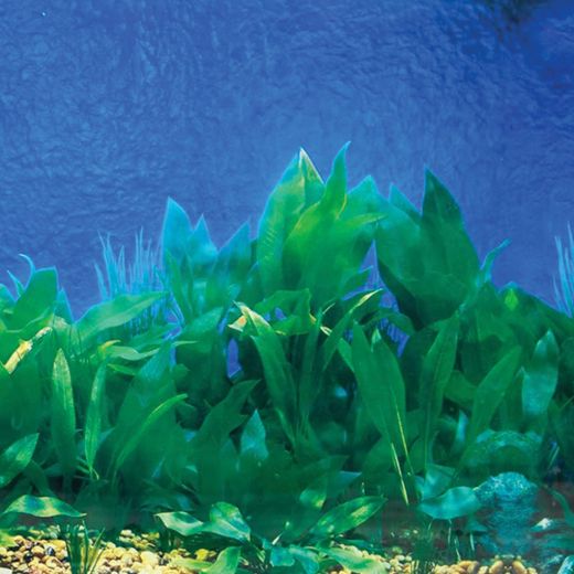 Picture of Tide & Treasure™ Double-Back™ Pre-Cut Background - Deep Blue Sea/Amazon Waters - Up to 10 Gallons