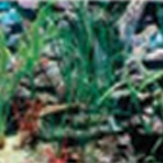 Picture of Tide & Treasure™ Double-Back™ Pre-Cut Background - Tropical Blue/Shalescape - Up to 90 Gallons