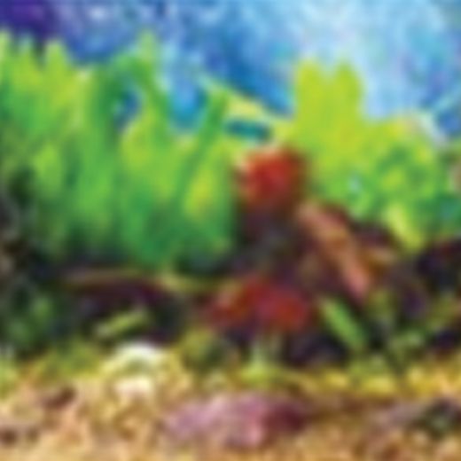 Picture of Tide & Treasure™ Double-Back™ Pre-Cut Background - Tropical Blue/Shalescape - Up to 90 Gallons