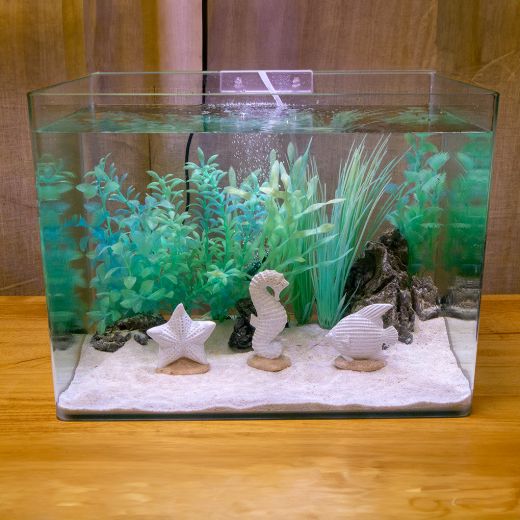 Picture of Tide & Treasure™ Coastal Kit - Small - 3 Piece - Replacement RR3190PDQ