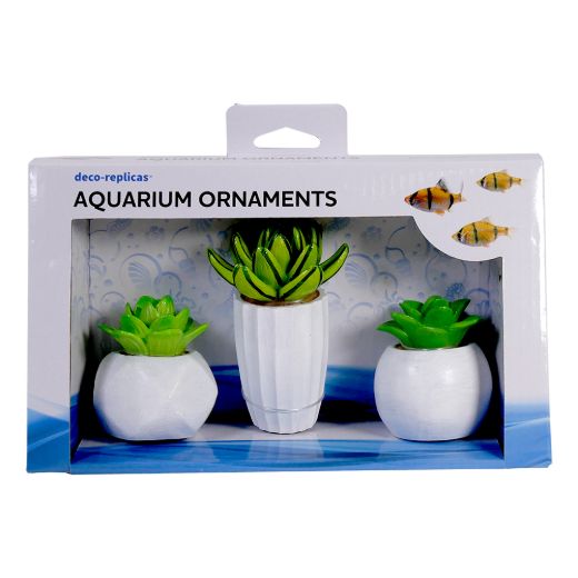 Picture of Tide & Treasure™ Succulent Kit - Small - 3-Piece
