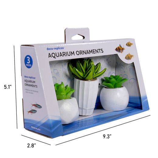 Picture of Tide & Treasure™ Succulent Kit - Small - 3-Piece