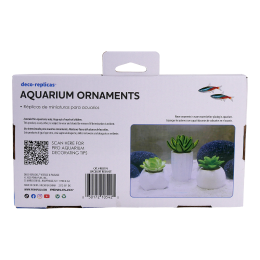 Picture of Tide & Treasure™ Succulent Kit - Small - 3-Piece