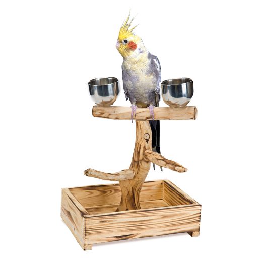 Picture of 10 1/2"W x 8 7/8"D x 11 3/4"H For Small & Medium Birds with Stainless Steel Cups