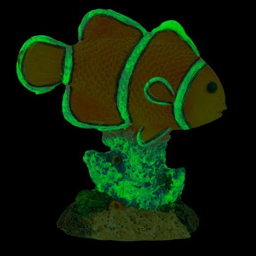 Picture of Glow Fish Resin Ornaments - Assorted Styles