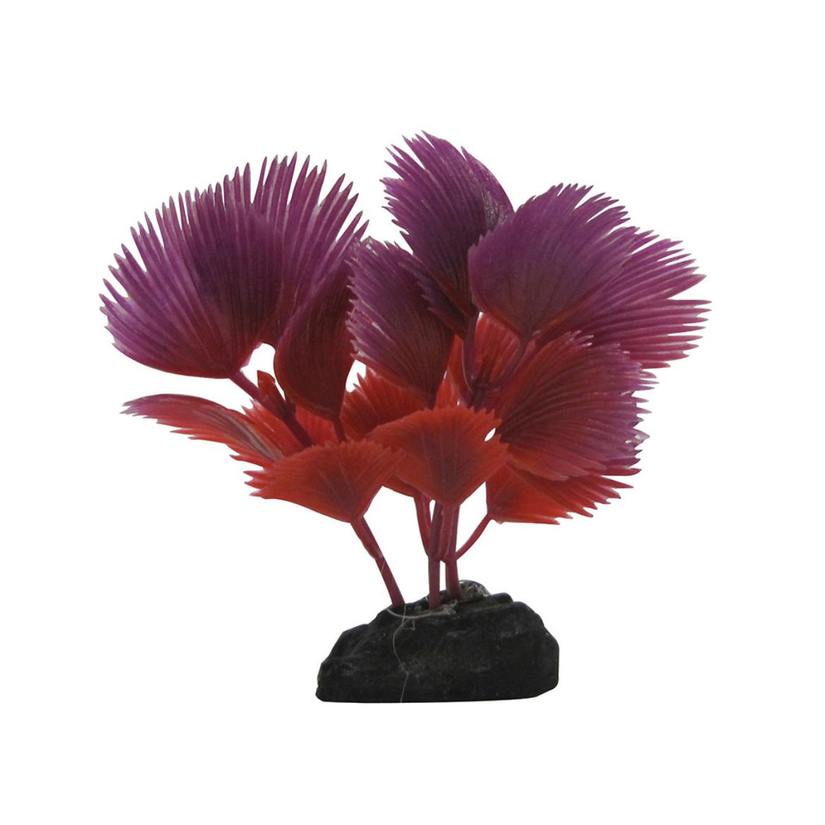 Picture of Tide & Treasure™ Fan Palm - Red - 3.5"