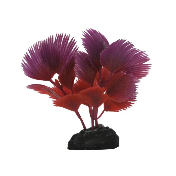 Picture of Tide & Treasure™ Fan Palm - Red - 3.5"