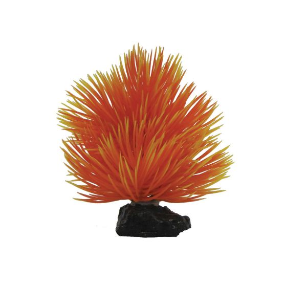 Picture of Tide & Treasure™ Fan Brush - Orange - 3.5"