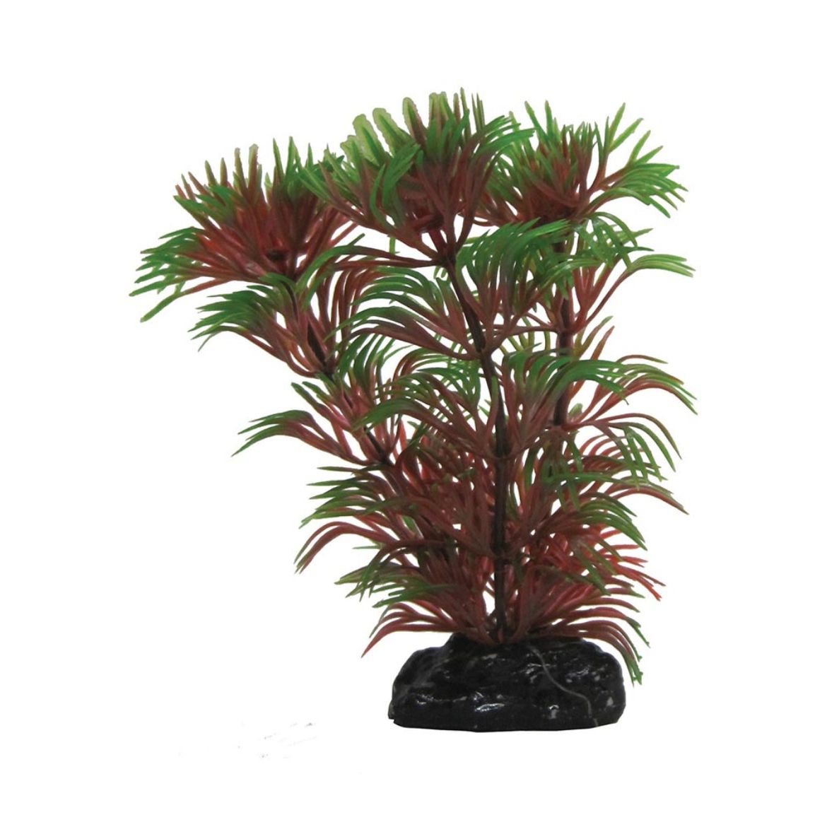 Picture of Tide & Treasure™ Cabomba - Green and Red - 3.5"