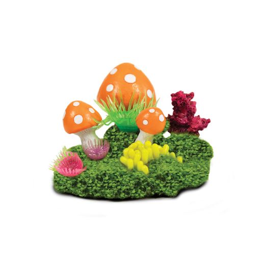 Picture of Tide & Treasure™ aqua-floras™ Mushroom Patch - Medium - Grows LIVE Plants