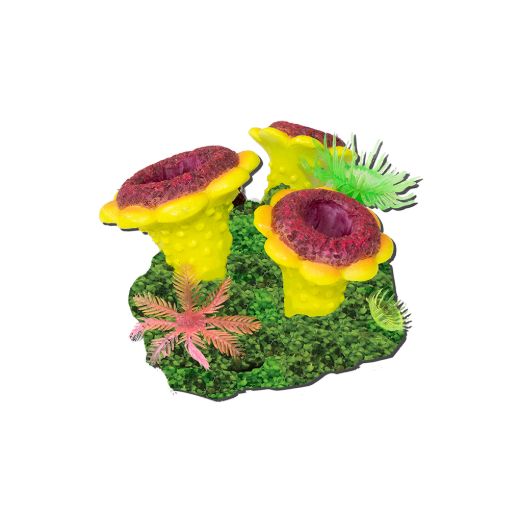 Picture of Tide & Treasure™ aqua-floras™ Blooming Flowers - Medium - Grows LIVE Plants