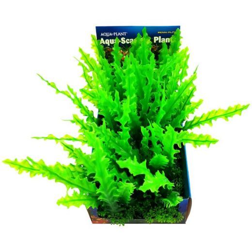 Picture for category Bunch Plant PDQs