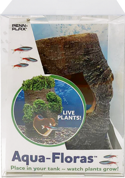 Picture of Tide & Treasure™ aqua-floras™ Tree Base - Medium - Grows LIVE Plants