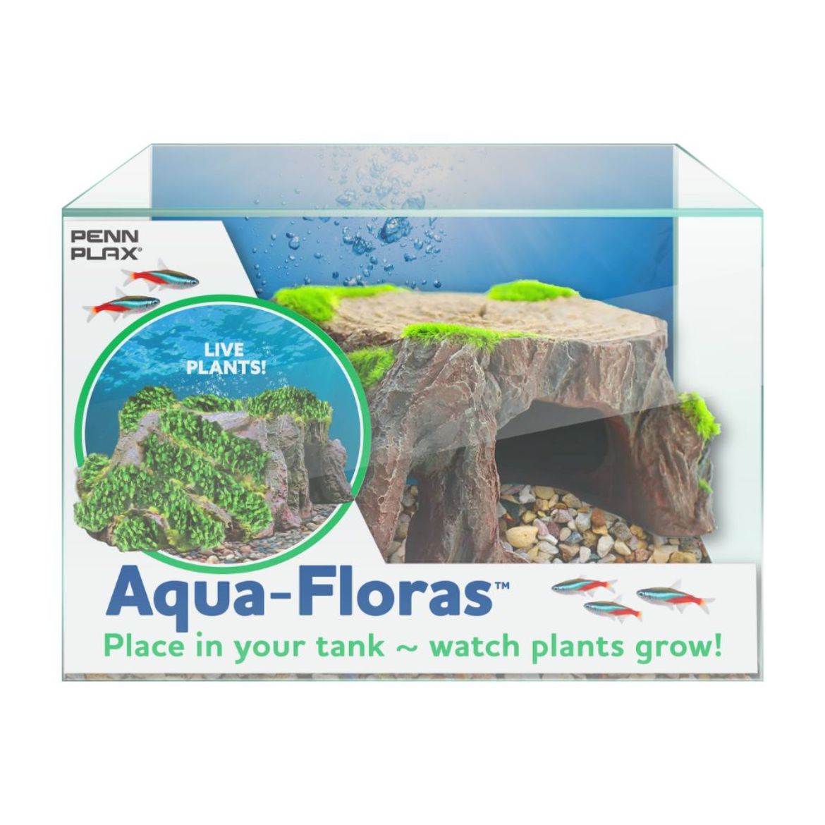 Picture of Tide & Treasure™ aqua-floras™ Tree Stump - Medium - Grows LIVE Plants