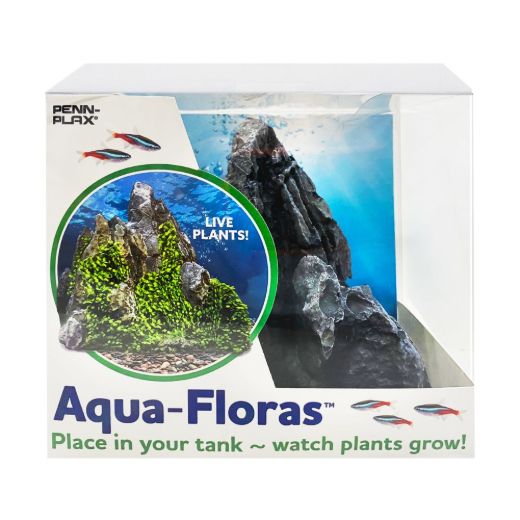 Picture of Tide & Treasure™ aqua-floras™ Rock Range - Medium - Grows LIVE Plants