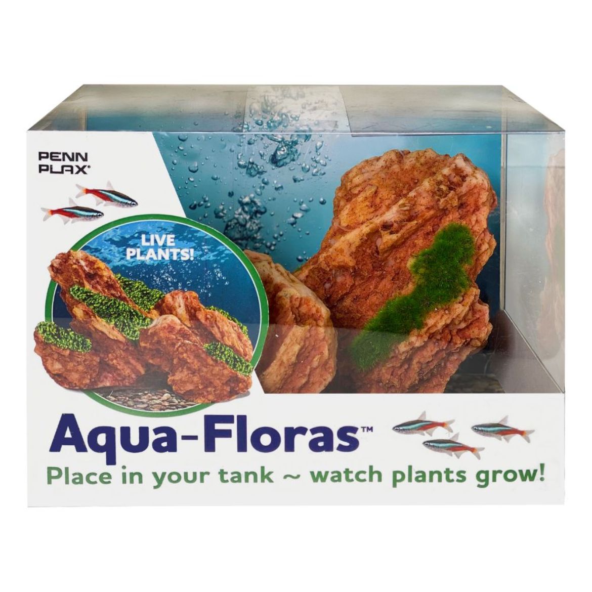 Picture of Tide & Treasure™ aqua-floras™ Red Rock - Medium - Grows LIVE Plants