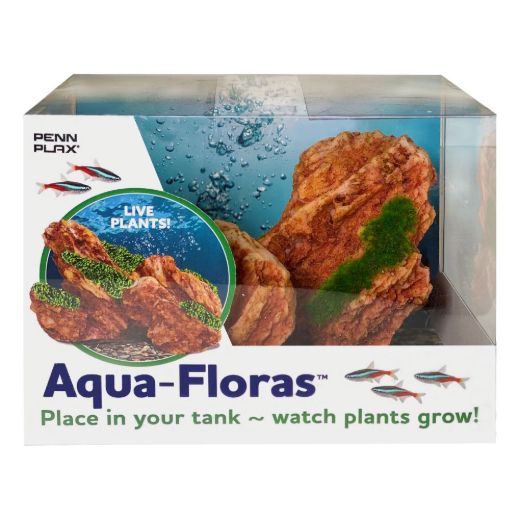 Picture of Tide & Treasure™ aqua-floras™ Red Rock - Medium - Grows LIVE Plants