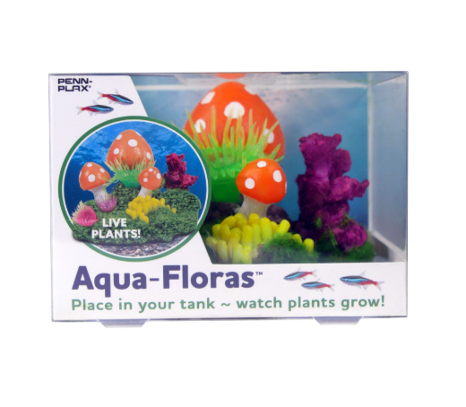 Picture of Tide & Treasure™ aqua-floras™ Mushroom Patch - Medium - Grows LIVE Plants