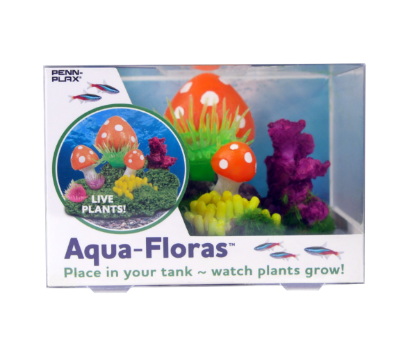 Picture of Tide & Treasure™ aqua-floras™ Mushroom Patch - Medium - Grows LIVE Plants