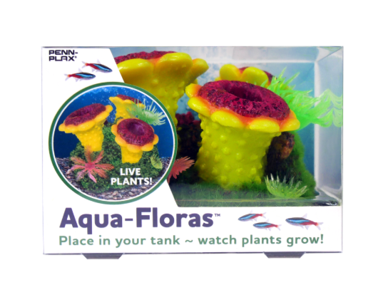 Picture of Tide & Treasure™ aqua-floras™ Blooming Flowers - Medium - Grows LIVE Plants