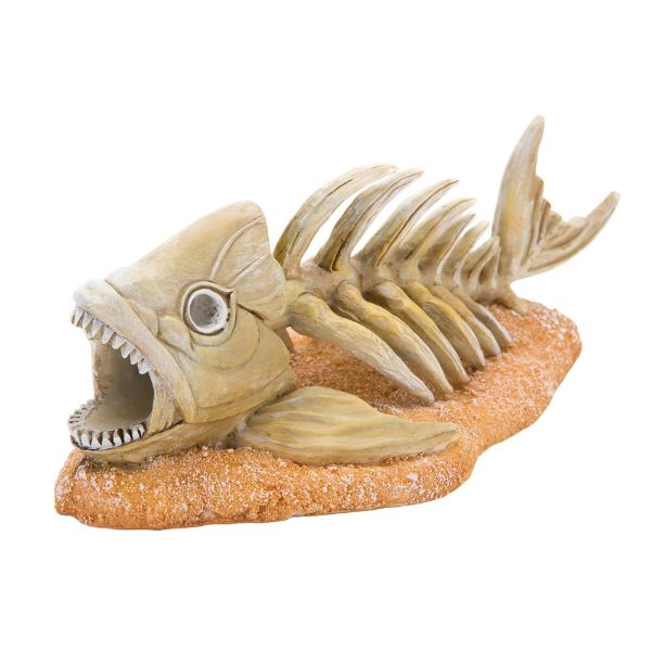 Picture of Tide & Treasure™ Zombie Fish - Medium